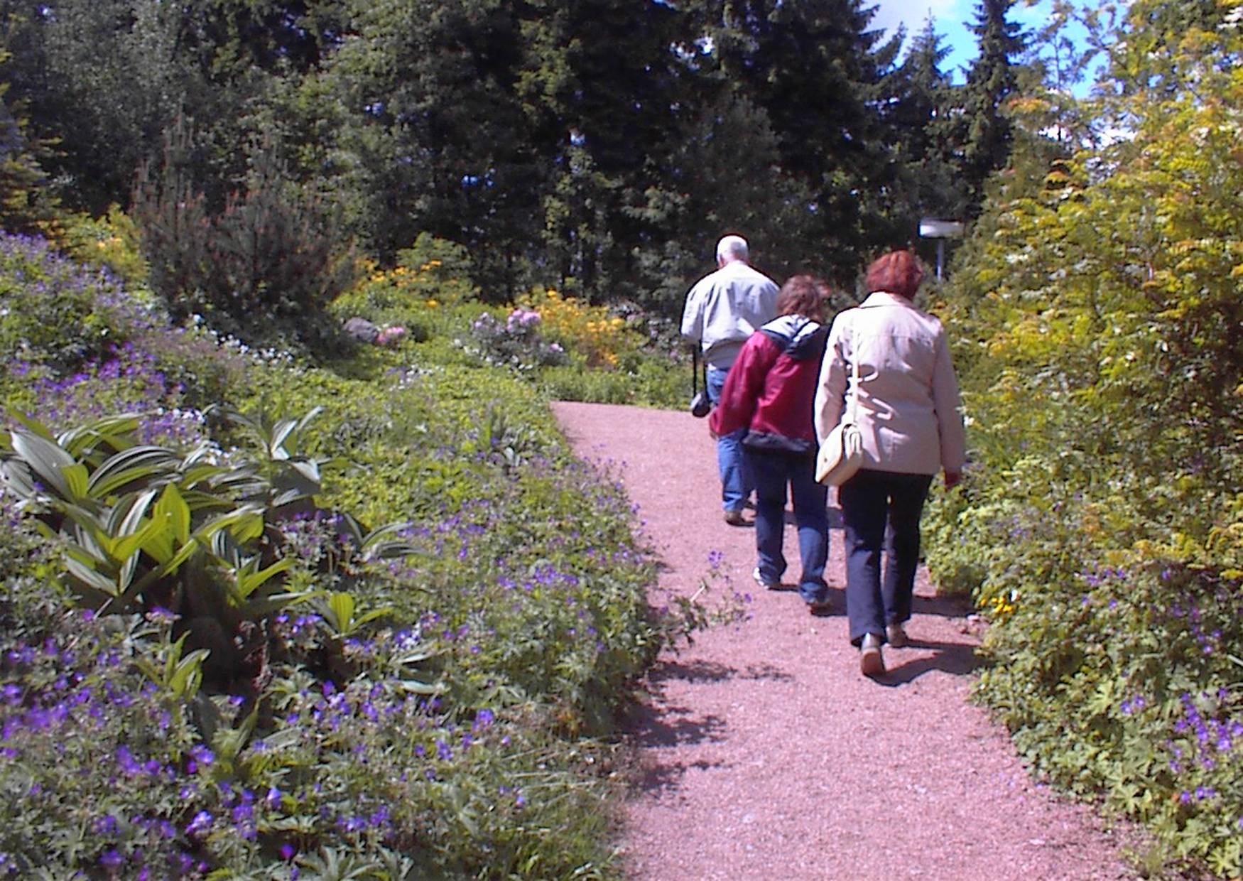 botanischer_garten_schellerhau.jpg