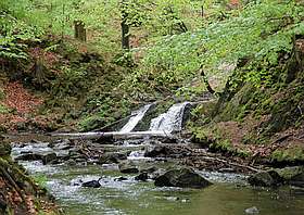 Prießnitz Wasserfall Dresdner Heide