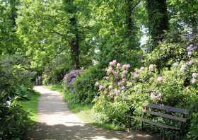 Rhododendronpark Wörlitz