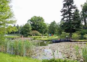 Roseninsel im Wörlitzer Park