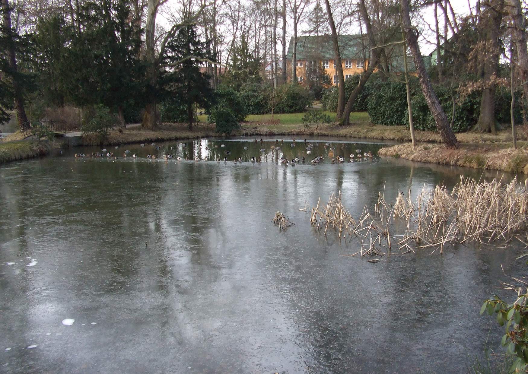 Teich am Schloss Schönfeld in Schönfeld bei Thiendorf