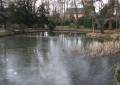 Teich am Schloss Schönfeld in Schönfeld bei Thiendorf