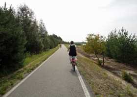 Der Bäralder See bei Boxberg im Jahr 2011, Radweg