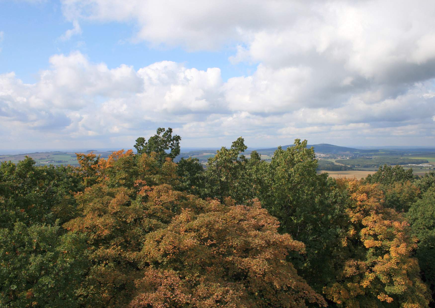 Schwedenstein der Blick vom Aussichtsturm nach  Westen