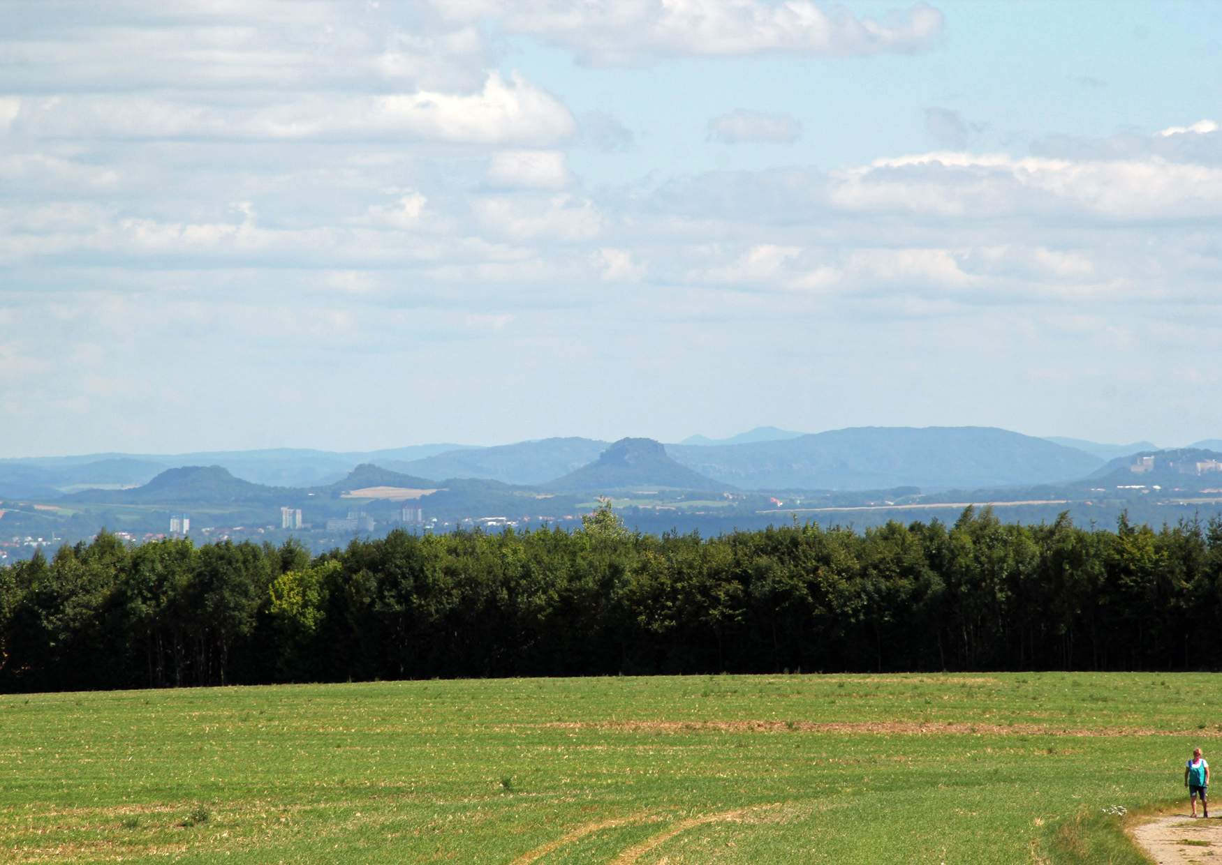 Babisnauer Pappel Blick Sächsische Schweiz