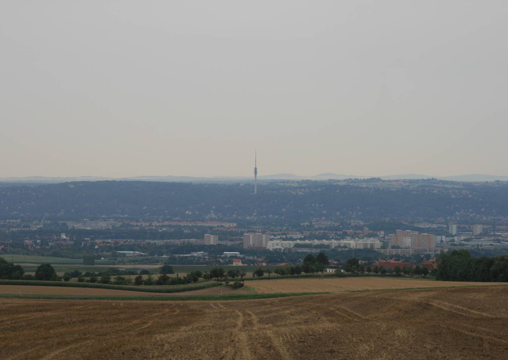 Die Babisnauer Pappel - Dresden Fernsehturm