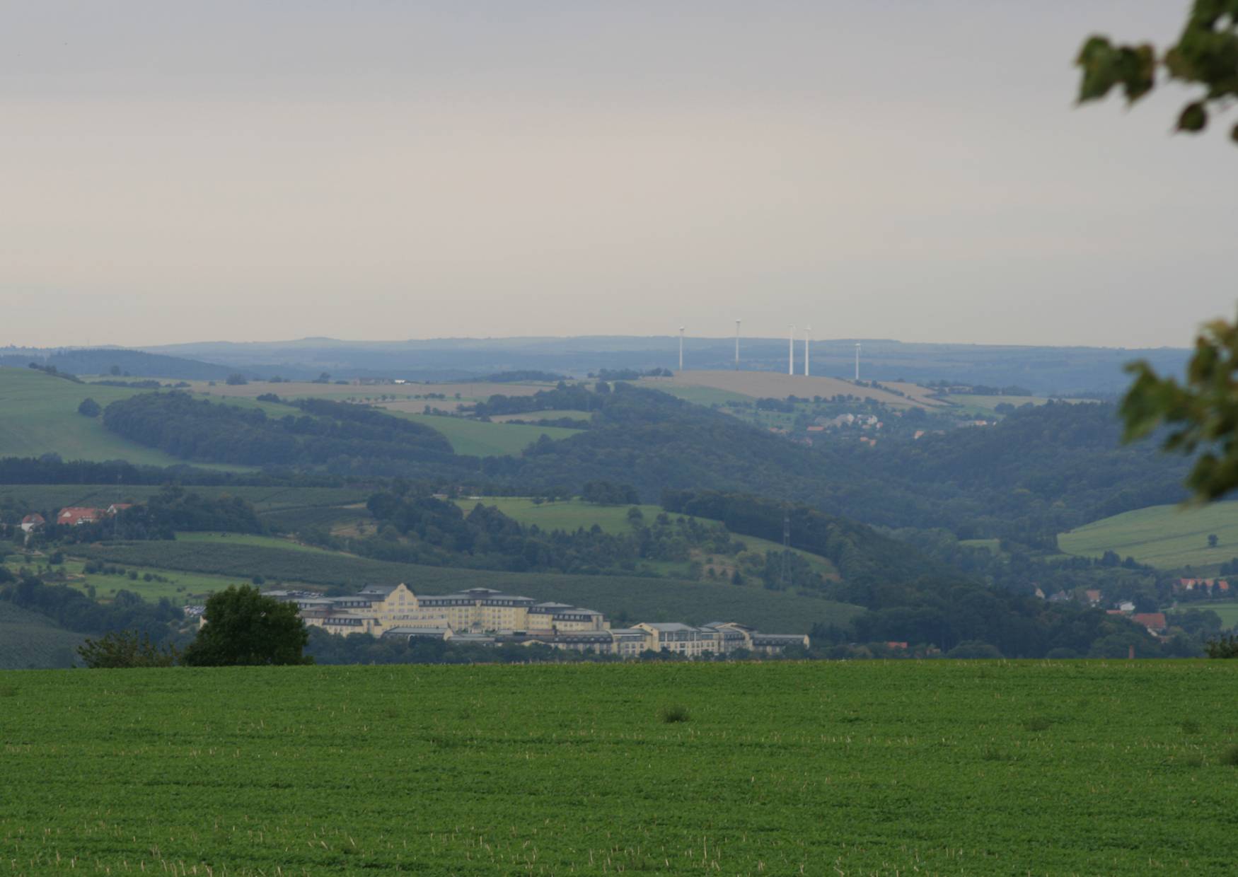 Aussichtspunkt bei Dresden Babisnauer Pappel