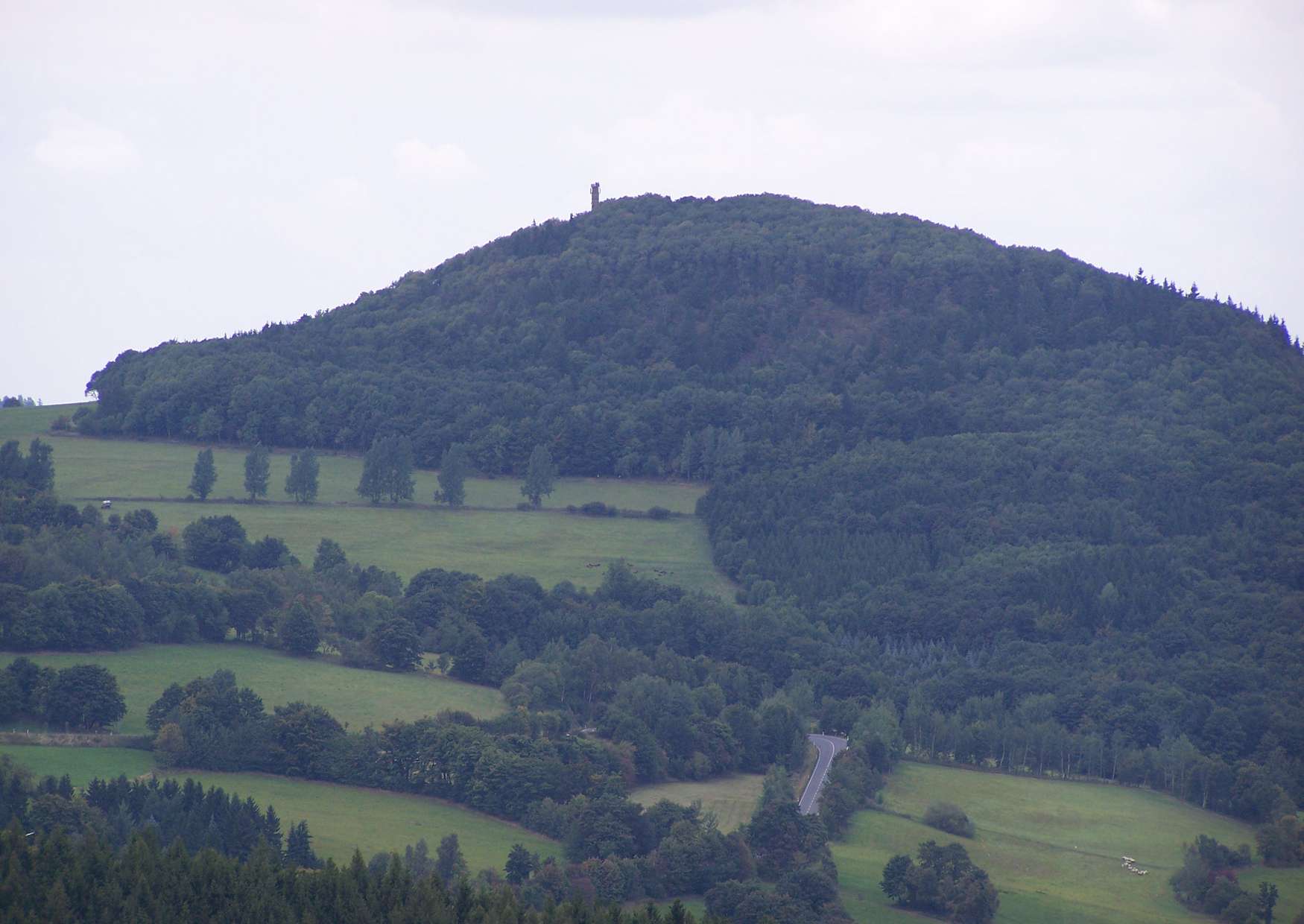 Die Aussicht vom Aussichtsturm auf der Kohlhaukuppe in Geising