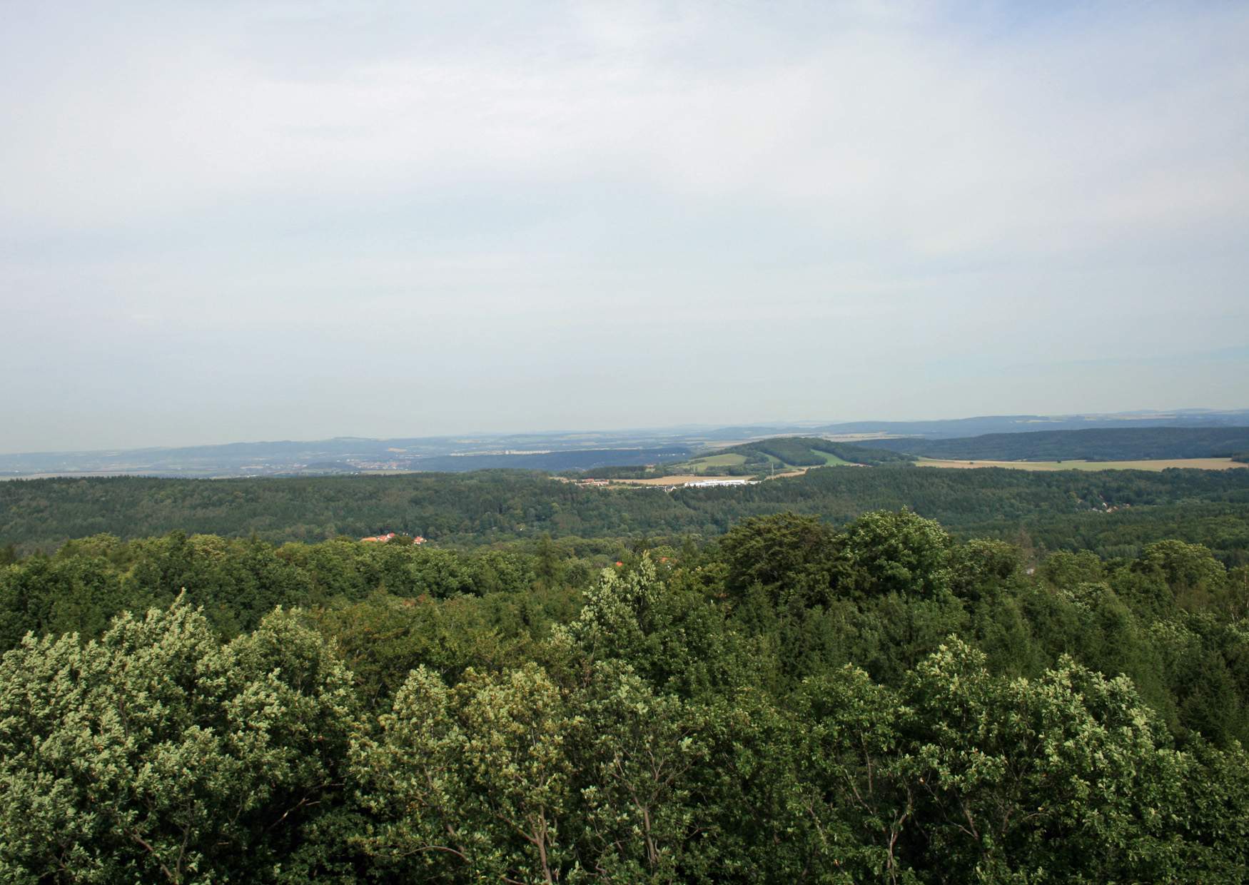 Der Blick in Richtung Cottaer Spitzberg