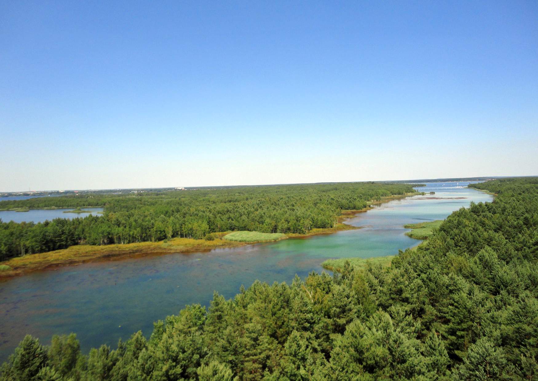 Blick vom Aussichtsturm am Senftenberger See Richtung Großkoschen