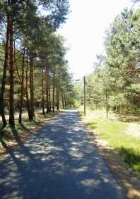 Radweg am Senftenberger See