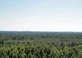 Blick vom Aussichtsturm am Senftenberger See nach Süden