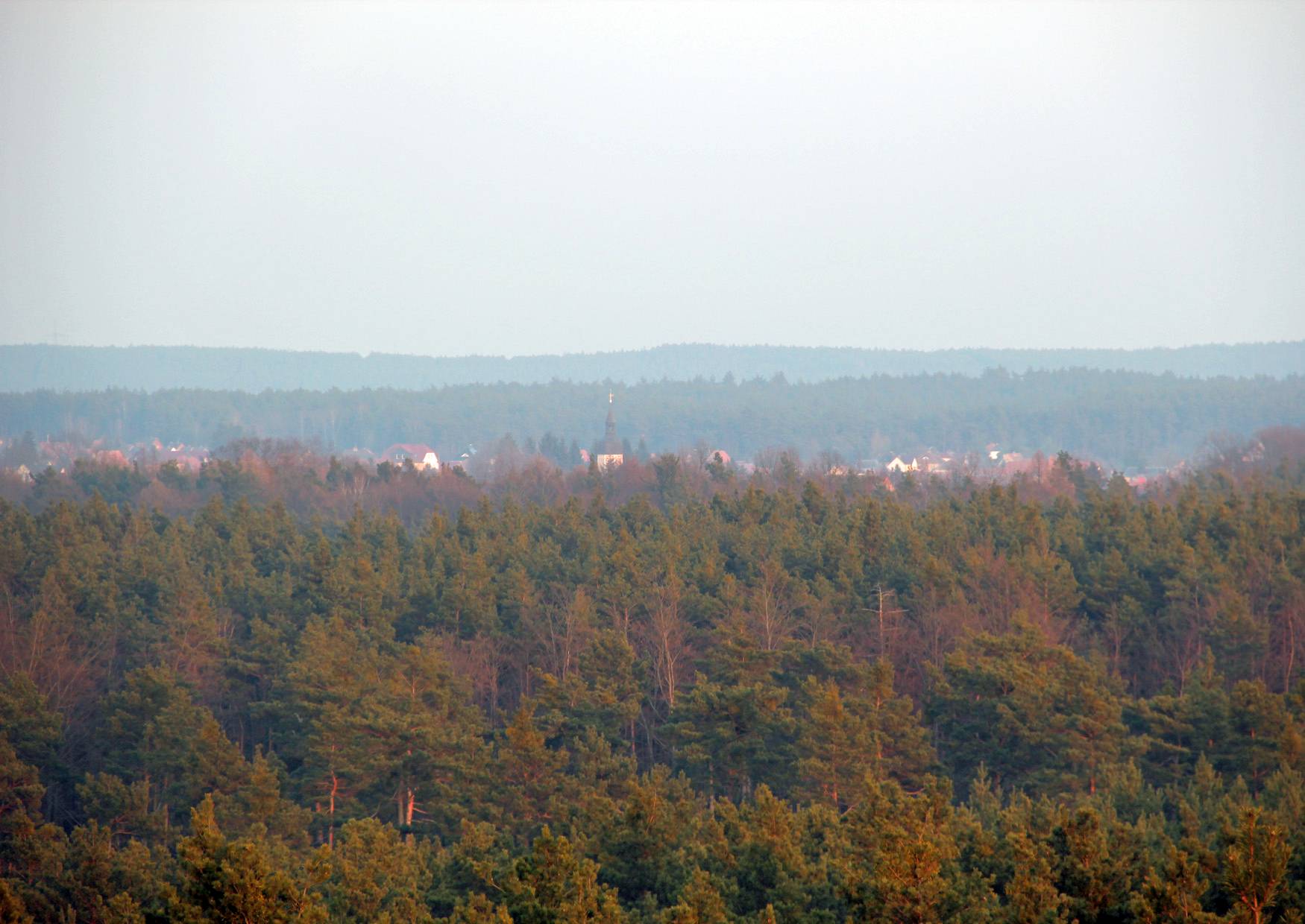 Blick über die Hohenbockaer Schweiz vom Aussichtsturm