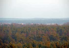 Blick über die Hohenbockaer Schweiz vom Aussichtsturm