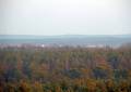 Blick über die Hohenbockaer Schweiz vom Aussichtsturm