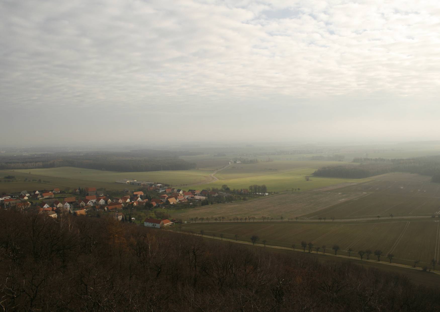 Aussicht vom Aussichtsturm auf dem Collm