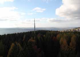 Der Blick vom König-Albert-Turm auf dem Spiegelwald - Mast