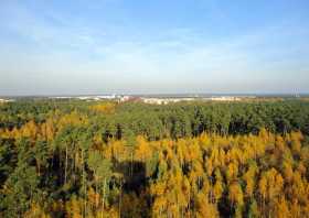 Blick vom Turm â€žAm Schweren Bergâ€œ auf  die Stadt Weißwasser