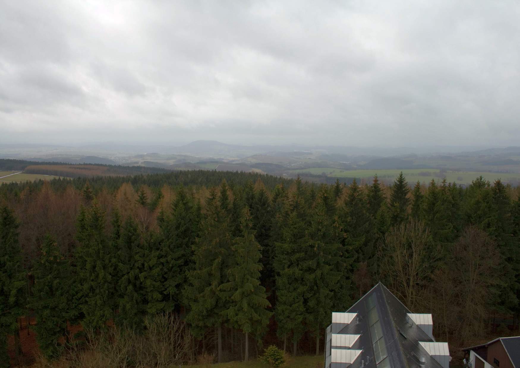 Blick zum Pöhlberg von der Brei Brüder Höhe