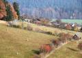 Der Blick vom Aussichtsturm in der Gemeinde Gelenau auf ein Wildgehege