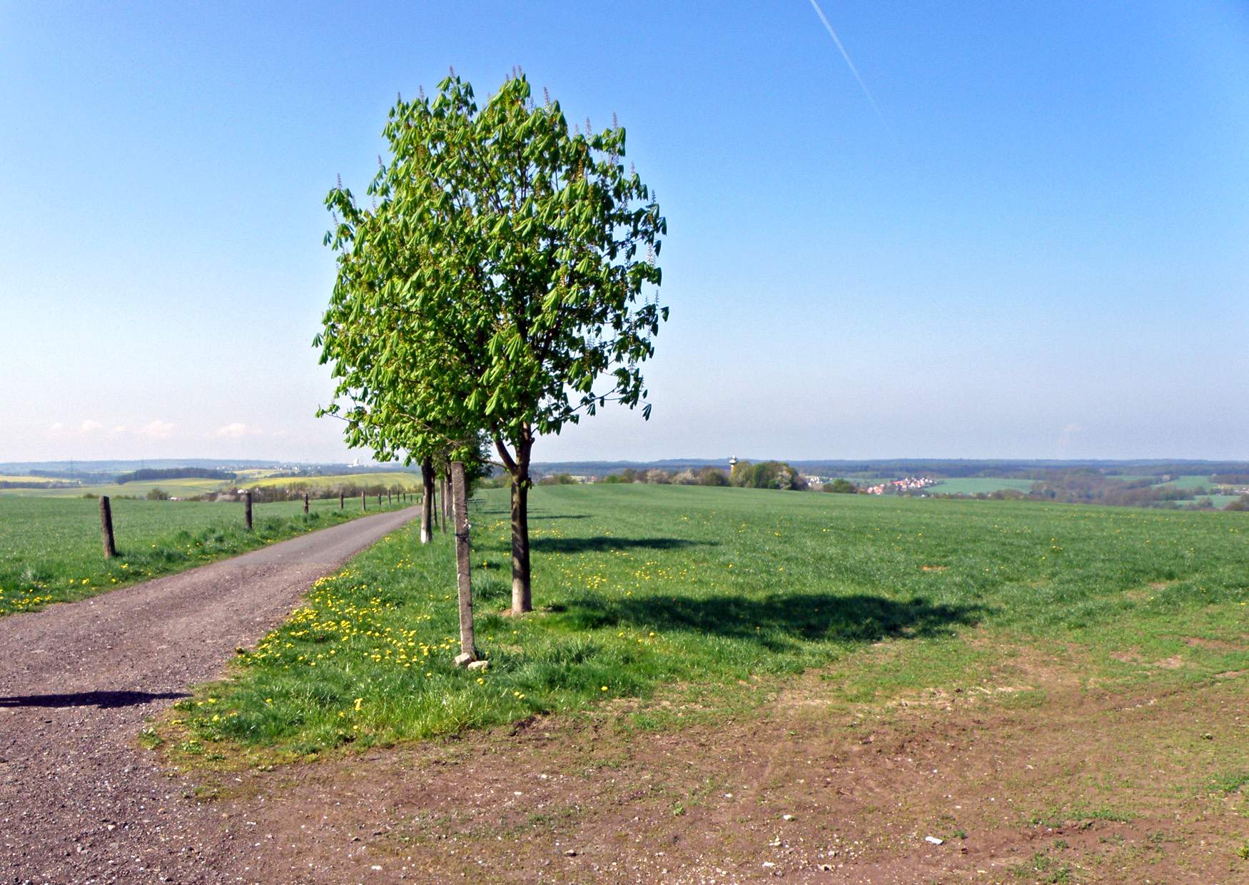 Wanderweg zum Heimatturm Colditz