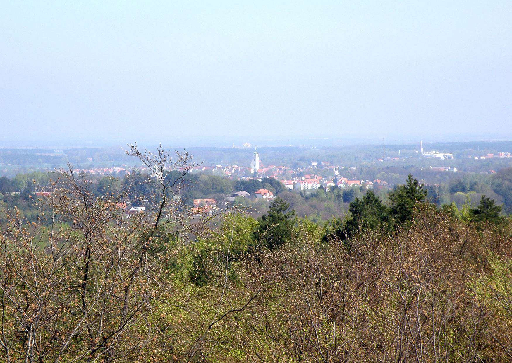 Der Kaiser Wilhelm Turm bei Bad Schmiedeberg - Stadt Bad Schmiedeberg