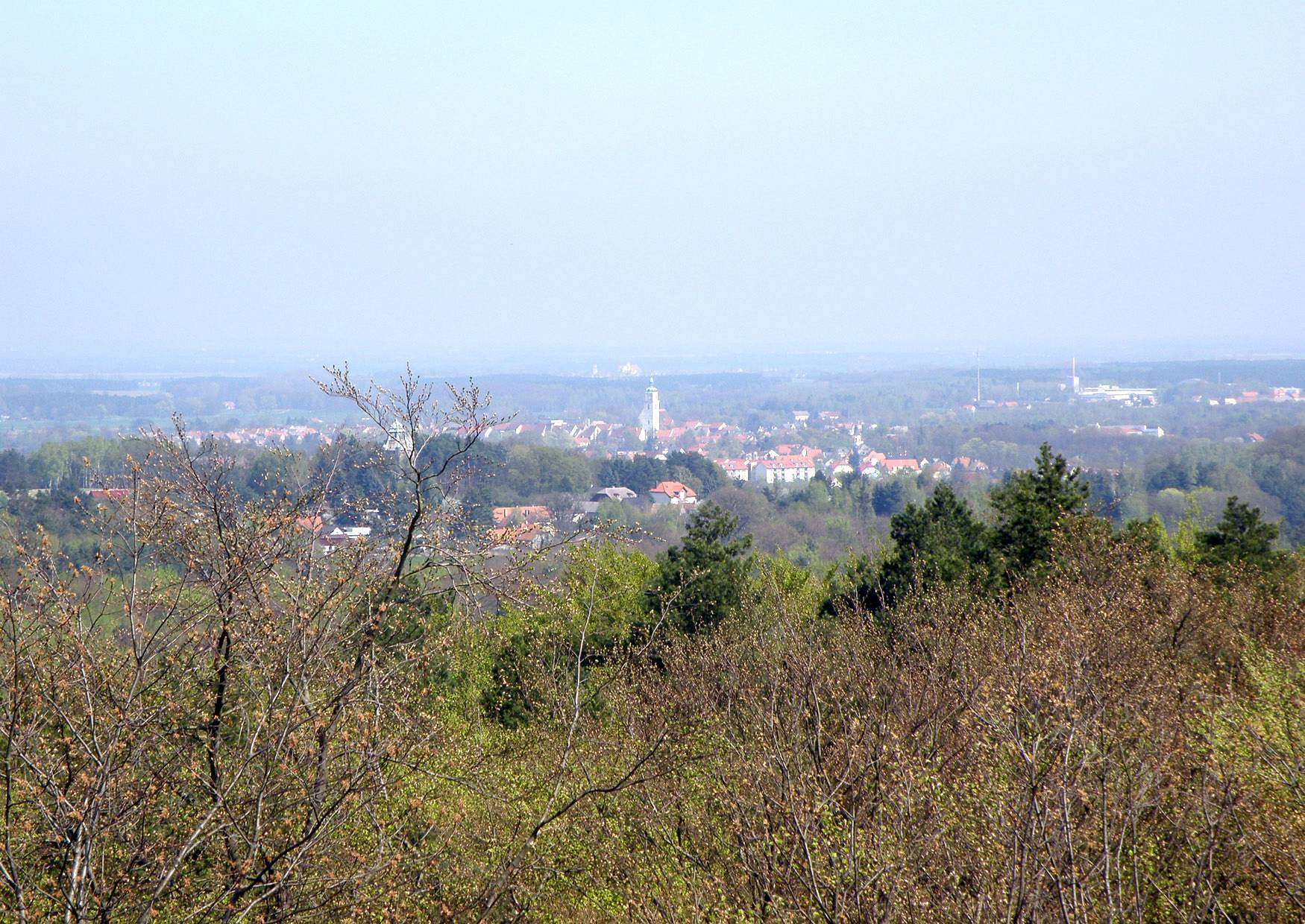 Der Kaiser Wilhelm Turm bei Bad Schmiedeberg - Stadt Bad Schmiedeberg