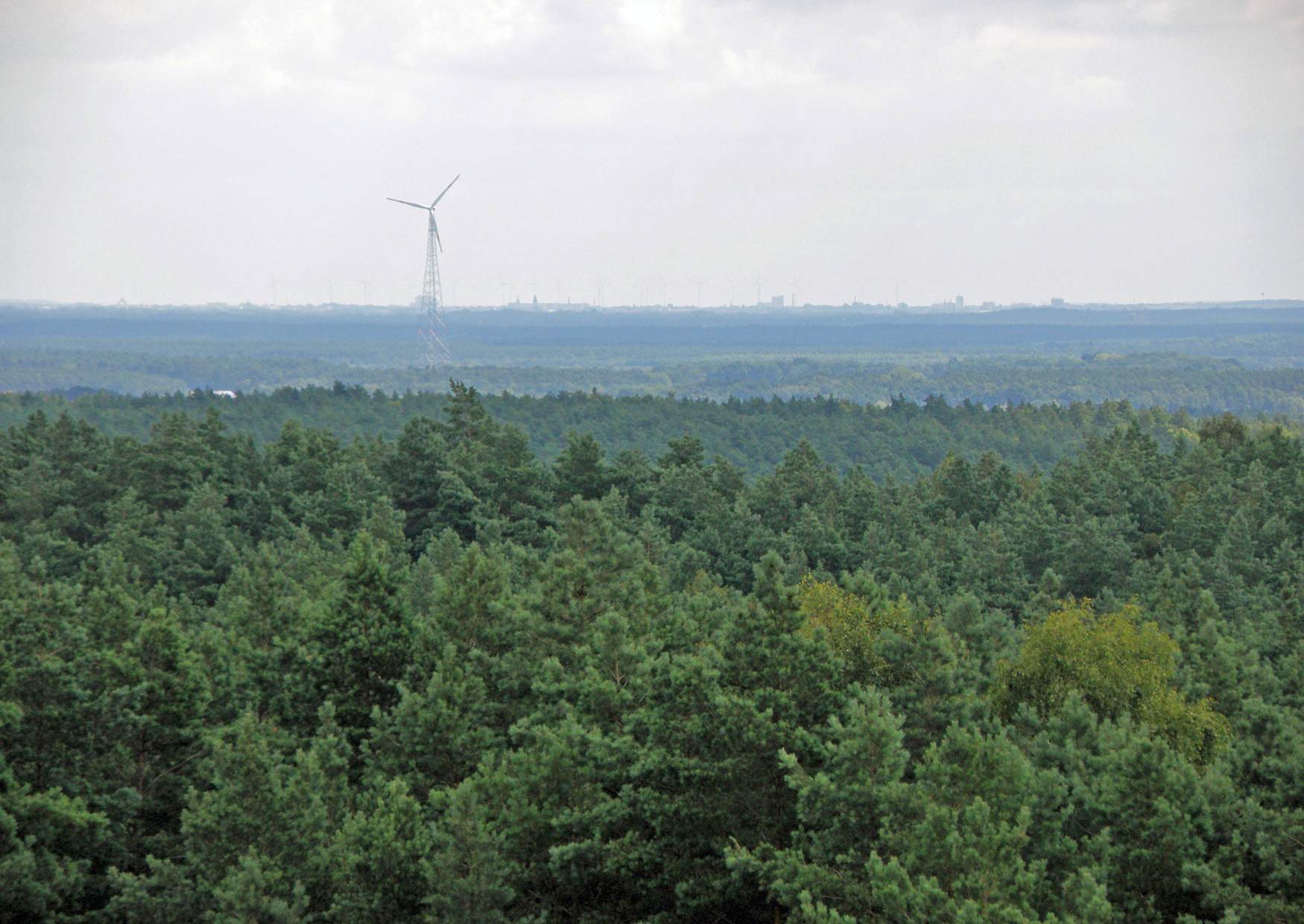 Calauer Schweiz der Blick vom Aussichtsturm