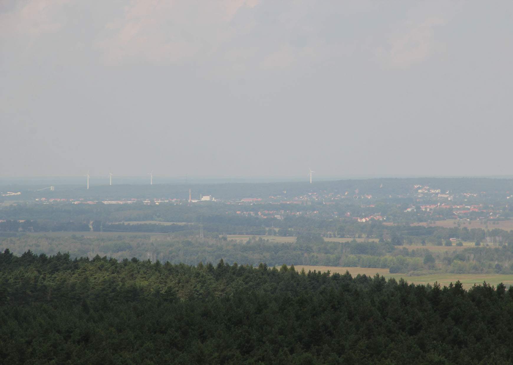 Elsterwerda vom Heidebergturm