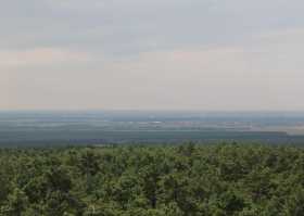 Wandern in der Grödener Heide