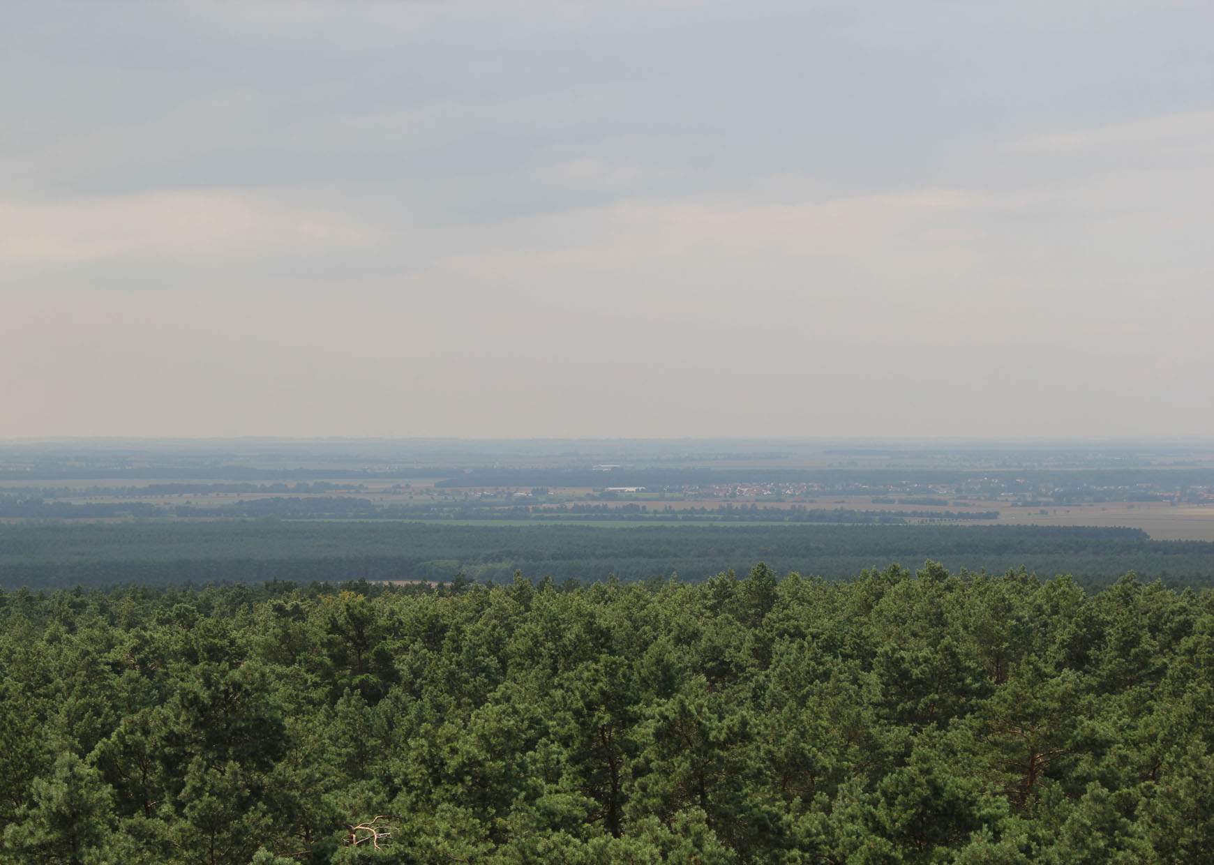 Wandern in der Grödener Heide