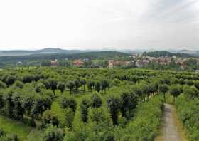 Aussicht vom Aussichtsturm Herrnhut