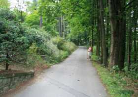 Der Weg auf den Schlechteberg in der Oberlausitz