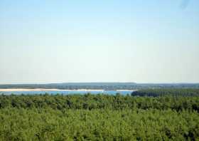 Blick vom Aussichtsturm Landmarke Lausitzer Seenland zum Geierswalder See