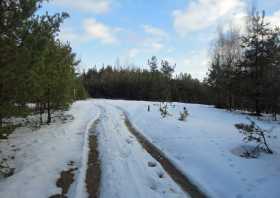 Wandern Biberpfad Königsbrück