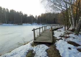 Wanderweg am See der Freundschaft in der Königsbrücker Heide