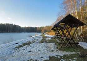 Picknick am See der Freundschaft