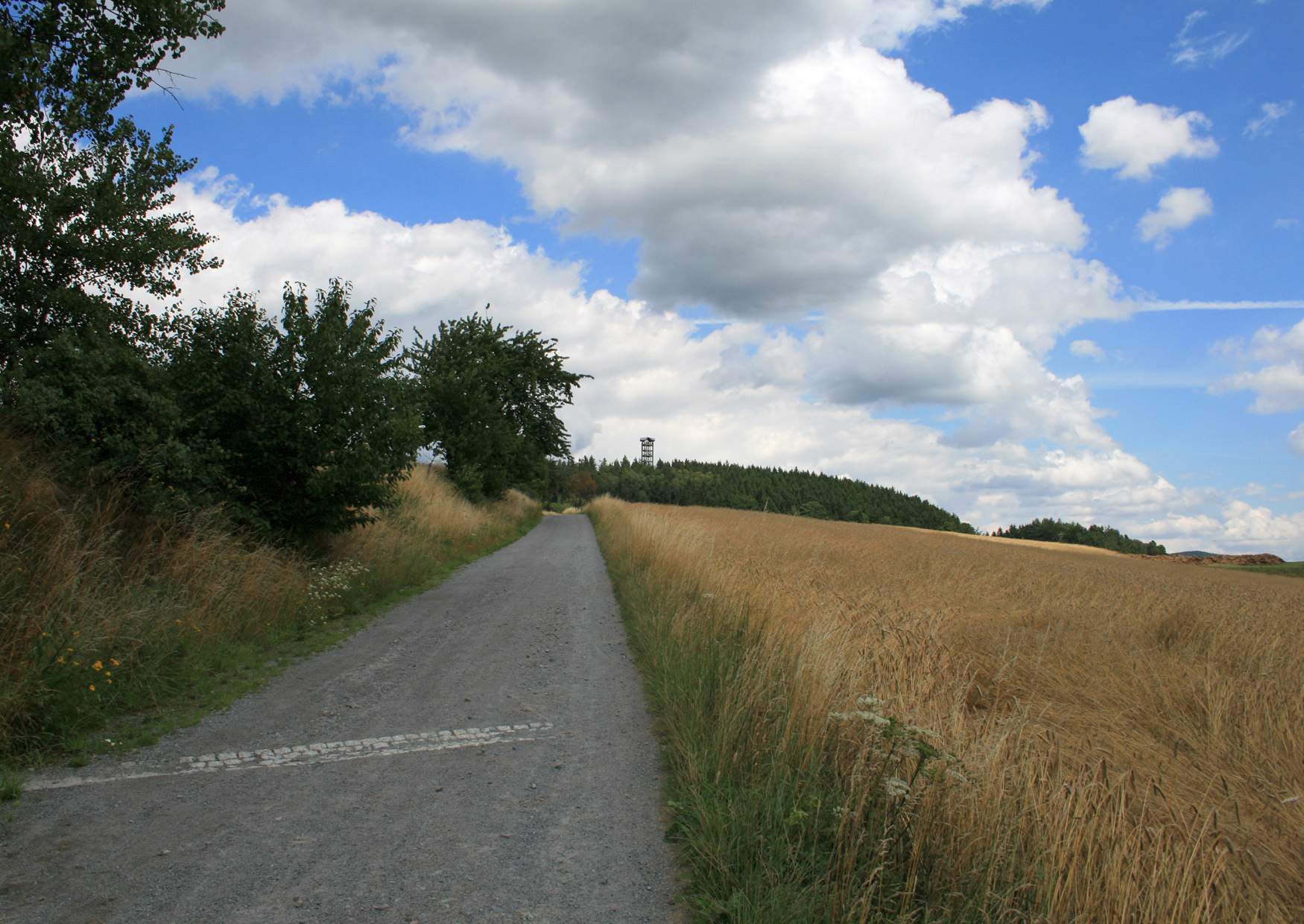 Wanderung von Hinterhermsdorf zum Weifberg