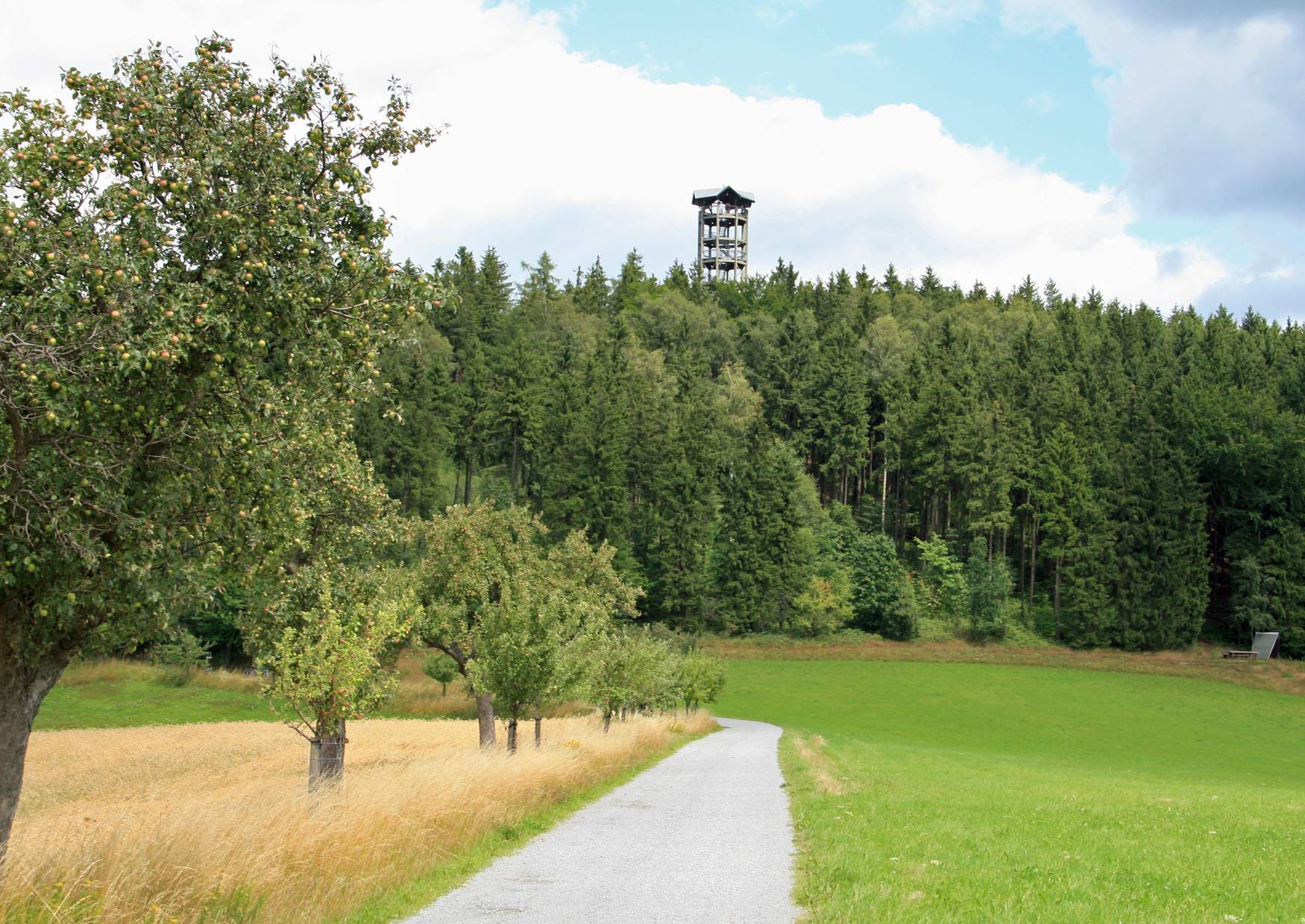 Ausflugsziel hintere Sächische Schweiz Lausitzer Bergland Weifberg Aussichtsturm
