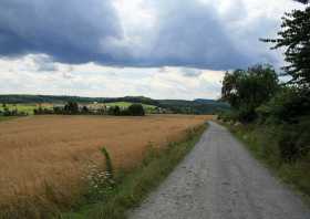 Weg von Hinterhermsdorf zum Weifberg