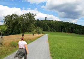 Der Aussichtsturm auf dem Weifberg bei Hinterhermsdorf