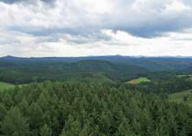 Blick vom Aussichtsturm auf dem Weifberg Richtung Sektor 7 nach Osten