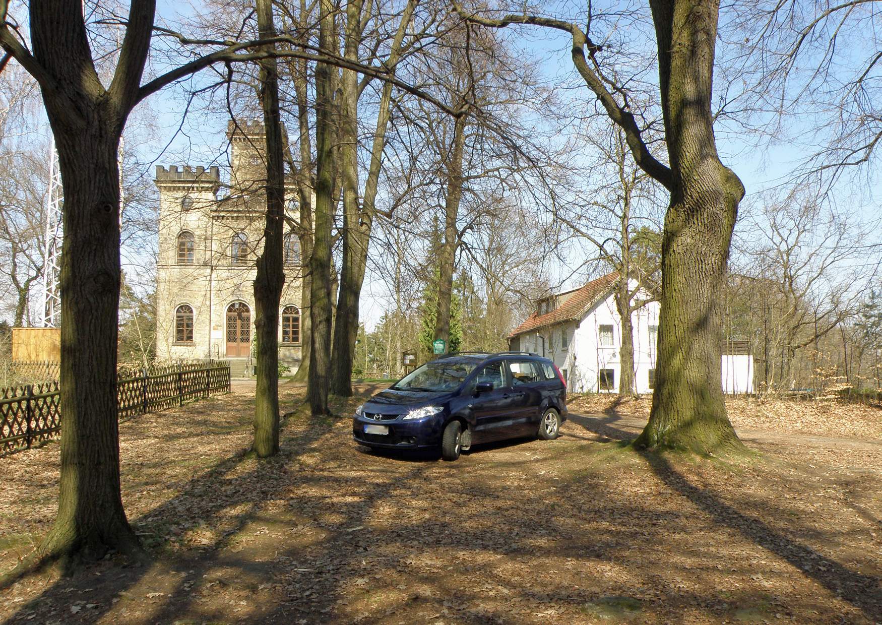 Der Aussichtsturm auf der bewaldeten Anhöhe