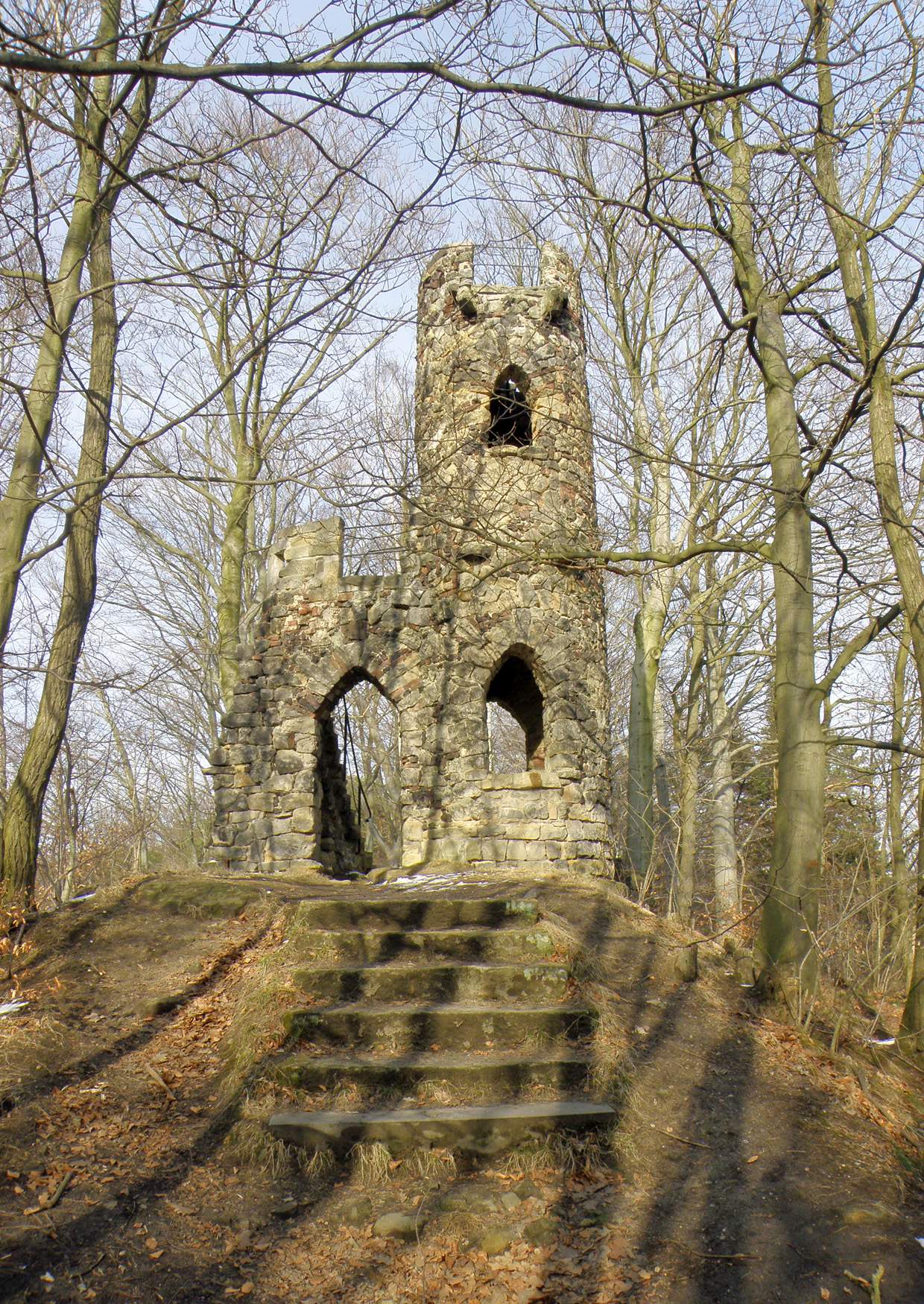 Aussichtsturm Bad Schandau Ruine Schomburg