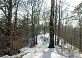 Wanderweg Bad Schandau Schomburg