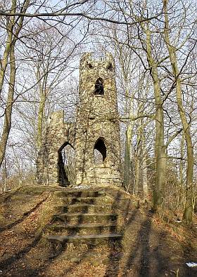 Bei Bad Schandau die Ruine der Schomburg