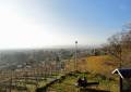 Aussicht am Wartturm Weinböhla