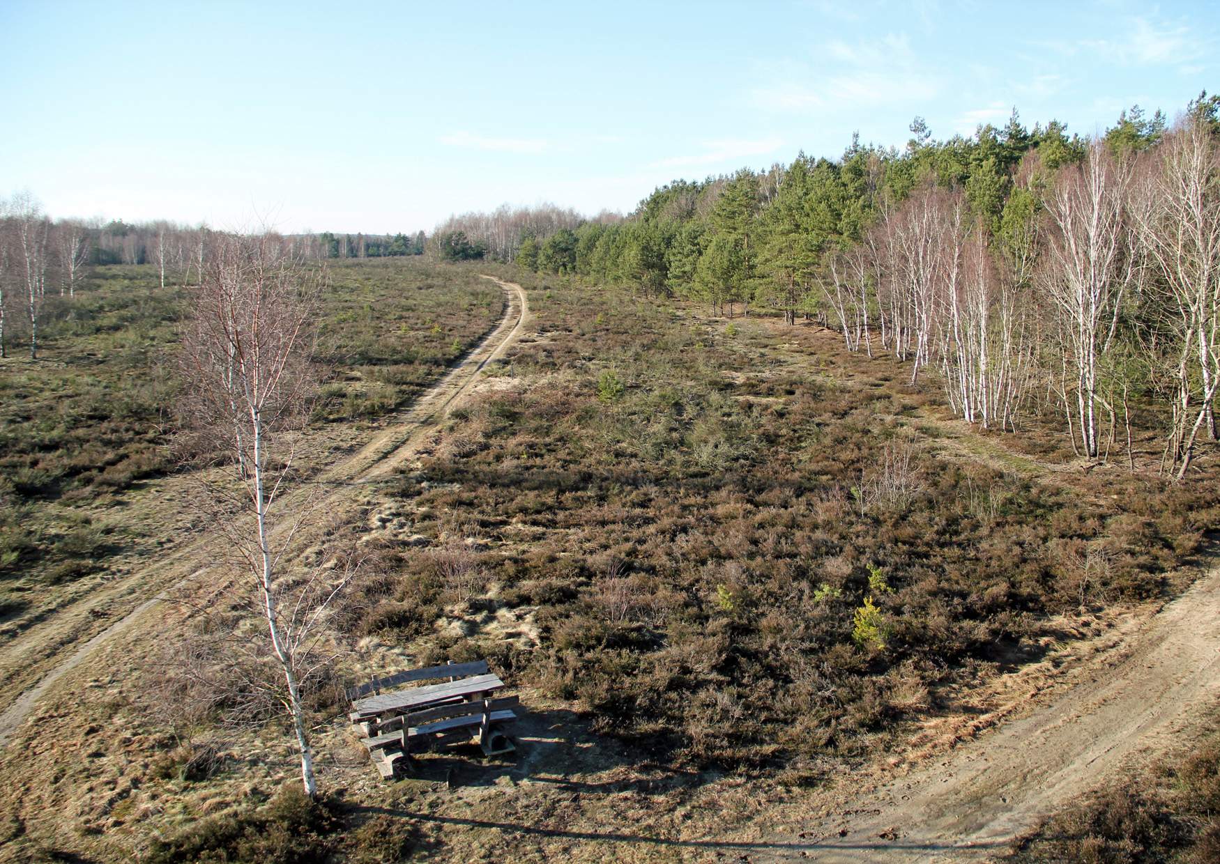 Rundweg am Zochauer Heideturm