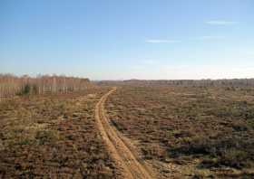 Königsbrücker Heide am Zochauer Heideturm