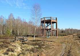 Naturschutzgebiet Königsbrücker Heide